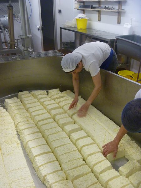 Anstercheese