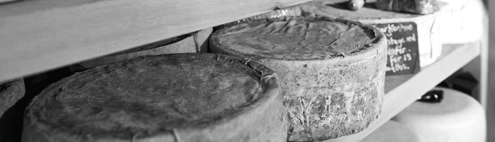 artisan cheese jobs artisan cheese jobs