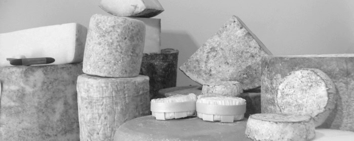 Best new cheese uk