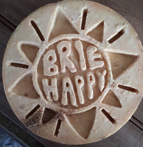 Brie cheese model sculpture