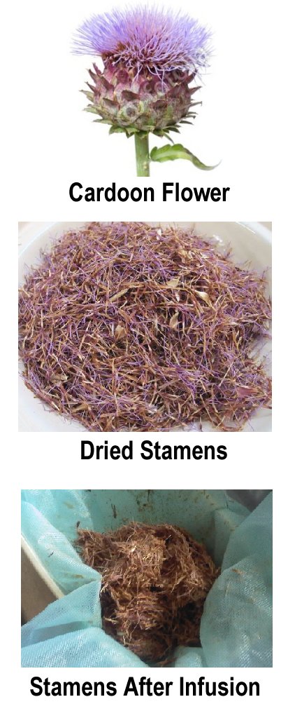 Rennet: what is vegetation cheese and vegetarian rennet? Rennet: what is vegetation cheese and vegetarian rennet?