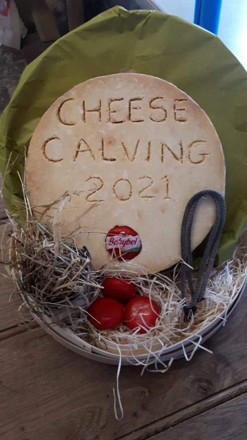 Carving cheese model