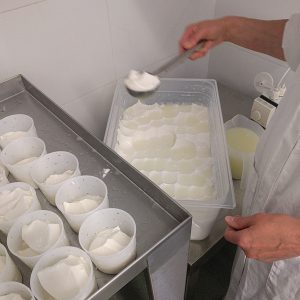 Cheese Making Course Gift Voucher