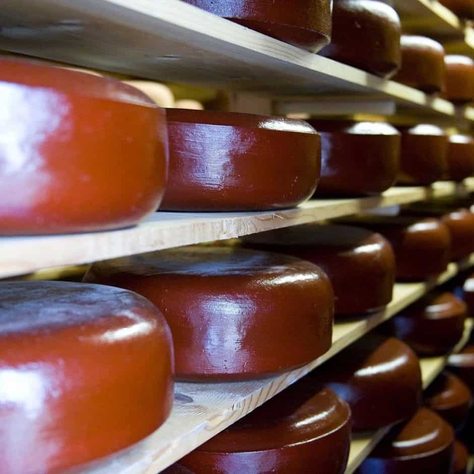 Doddington Cheese