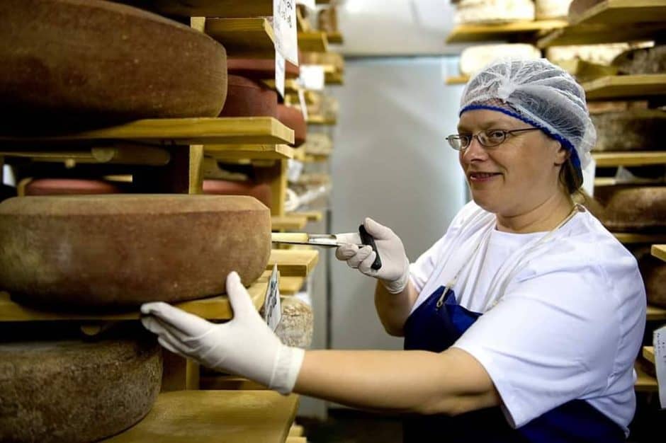 Doddington Cheese