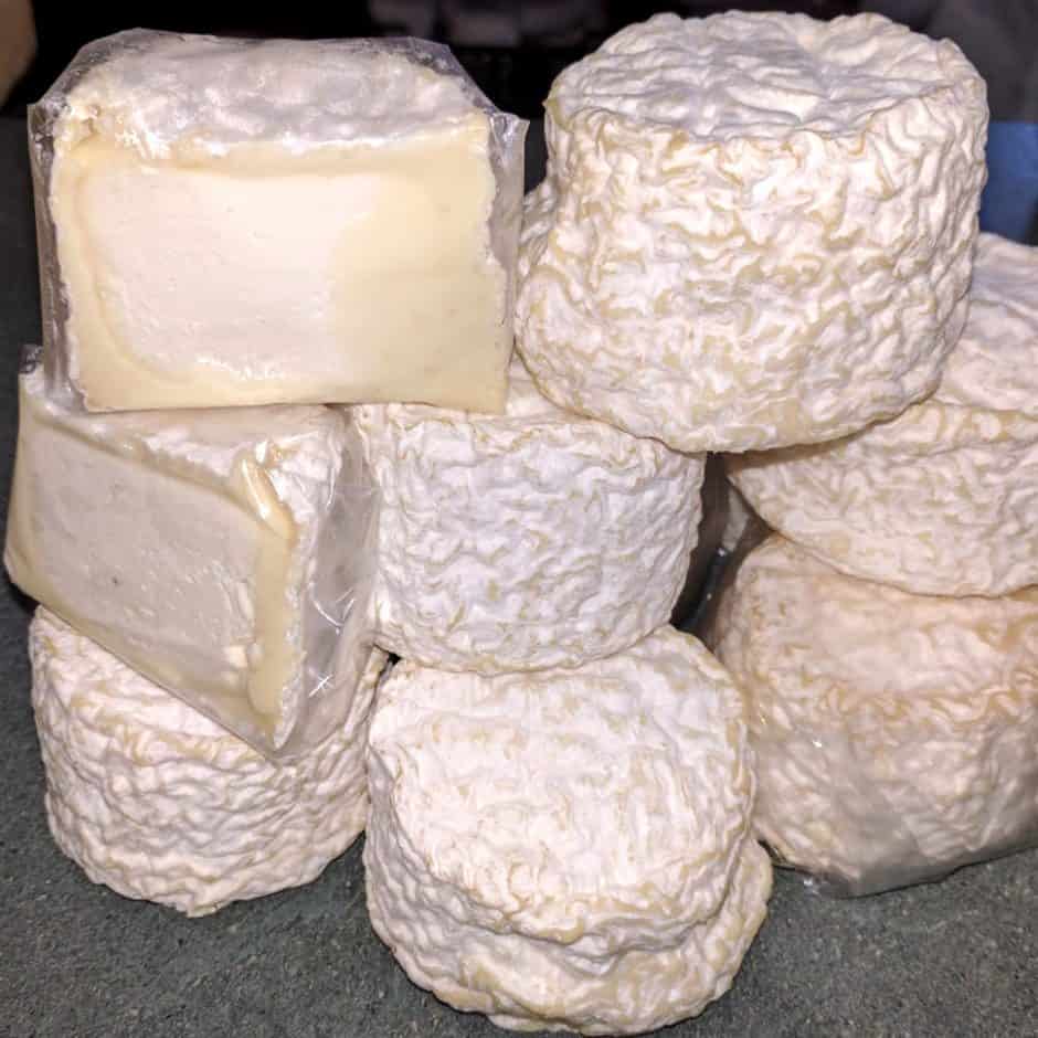 Dumpling / Bartlett Cheese