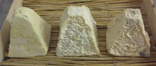 Why do goats cheese taste goaty