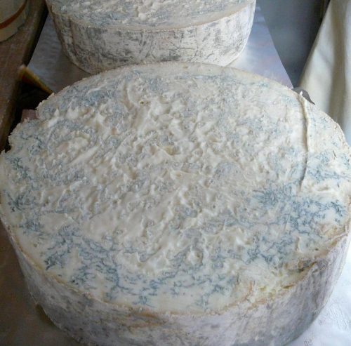 gorgonzola dolce