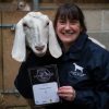 Gillian Clough of Tenacres