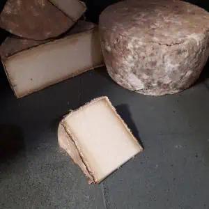 Holbrook Cheese