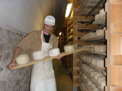 Lavort different ages at mons cheese