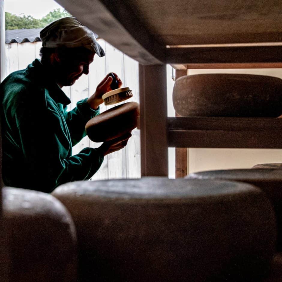 maturing kalkaber cheese