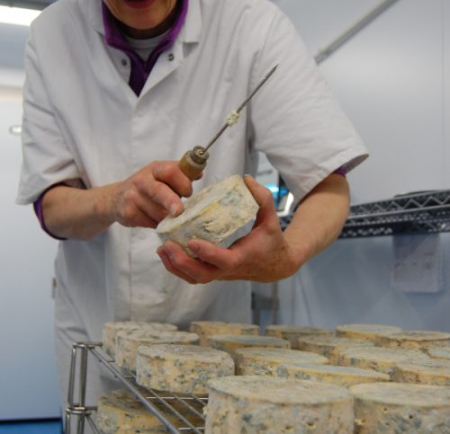 piercingbluecheese